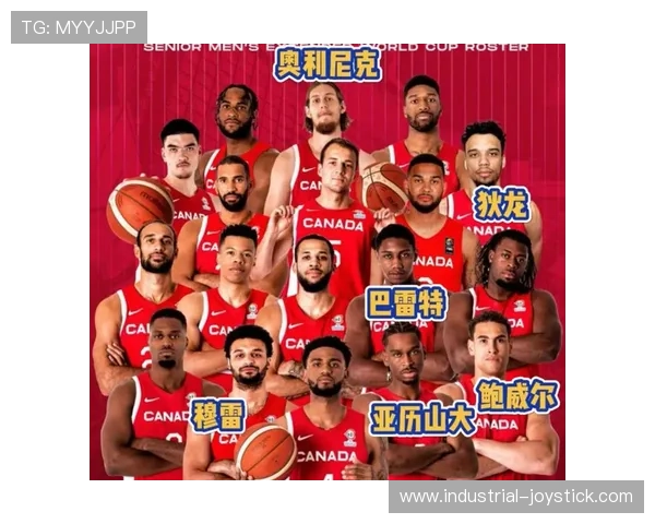 加拿大队世界杯主力阵容预测 加拿大队世界杯主力阵容预测